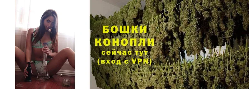 как найти   hydra сайт  МАРИХУАНА THC 21%  Дмитриев 